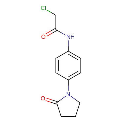 2-chloro-N-[4-(2-oxopyrrolidin-1-yl)phenyl]acetamide