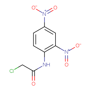 2-chloro-N-(2,4-dinitrophenyl)acetamide