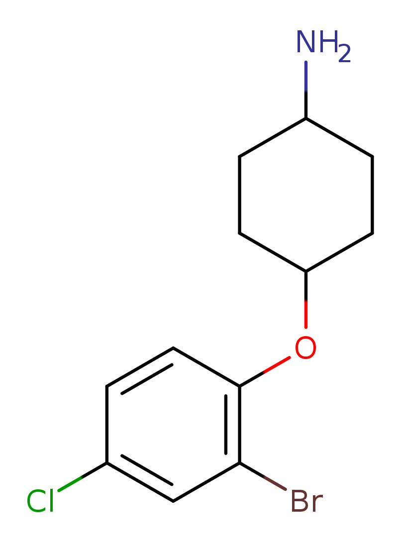 4-(2-bromo-4-chlorophenoxy)cyclohexan-1-amine