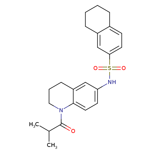 N-[1-(2-methylpropanoyl)-1,2,3,4-tetrahydroquinolin-6-yl]-5,6,7,8-tetrahydronaphthalene-2-sulfonamide