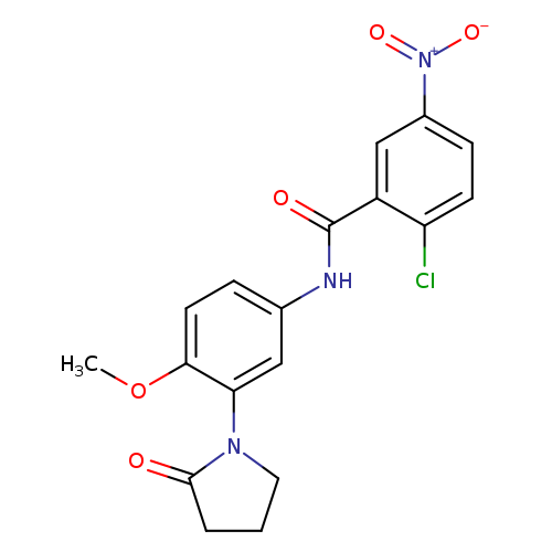 2-chloro-N-[4-methoxy-3-(2-oxopyrrolidin-1-yl)phenyl]-5-nitrobenzamide