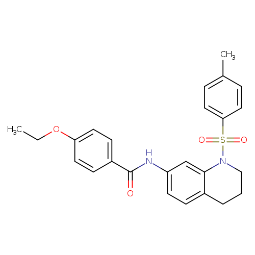 4-ethoxy-N-[1-(4-methylbenzenesulfonyl)-1,2,3,4-tetrahydroquinolin-7-yl]benzamide