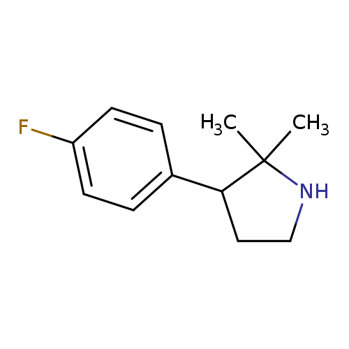 3-(4-fluorophenyl)-2,2-dimethylpyrrolidine