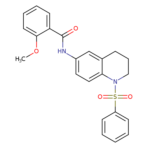 N-[1-(benzenesulfonyl)-1,2,3,4-tetrahydroquinolin-6-yl]-2-methoxybenzamide