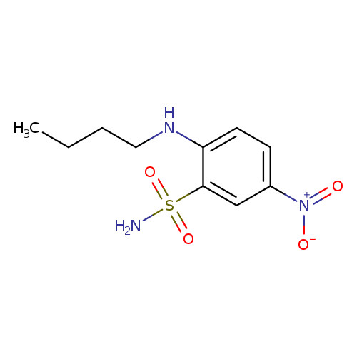 2-(Butylamino)-5-nitrobenzenesulfonamide