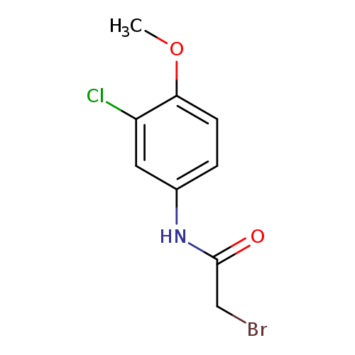 2-Bromo-n-(3-chloro-4-methoxyphenyl)acetamide