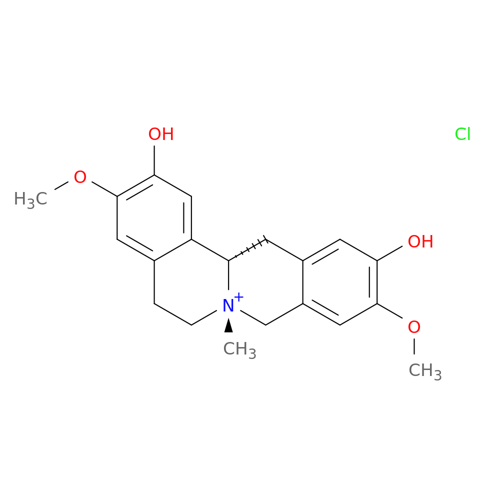 Phellodendrine Hydrochloride