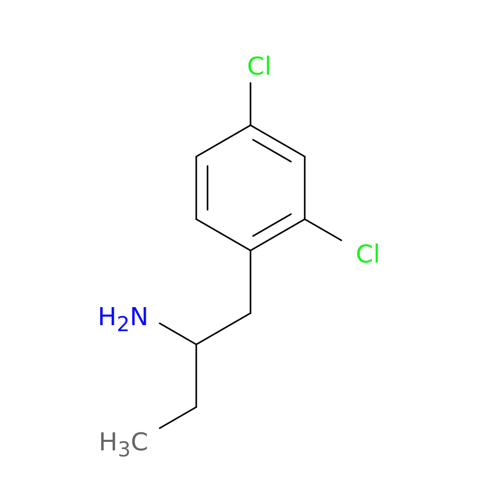 1-(2,4-DICHLOROPHENYL)BUTAN-2-AMINE