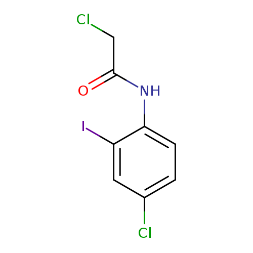 2-chloro-N-(4-chloro-2-iodophenyl)acetamide
