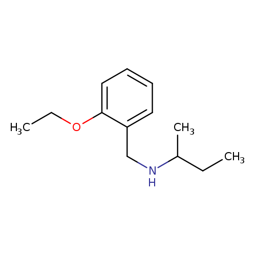 (butan-2-yl)[(2-ethoxyphenyl)methyl]amine