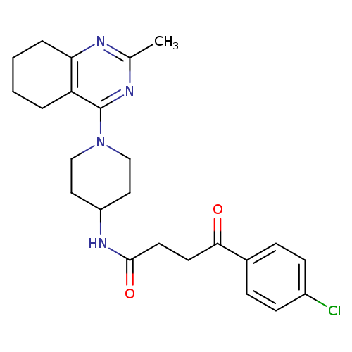 4-(4-chlorophenyl)-N-[1-(2-methyl-5,6,7,8-tetrahydroquinazolin-4-yl)piperidin-4-yl]-4-oxobutanamide
