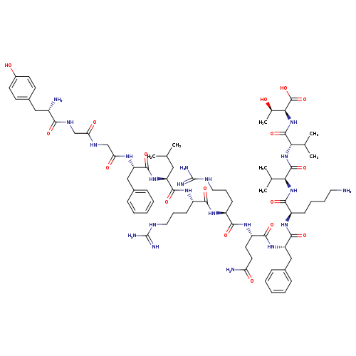 Dynorphin B