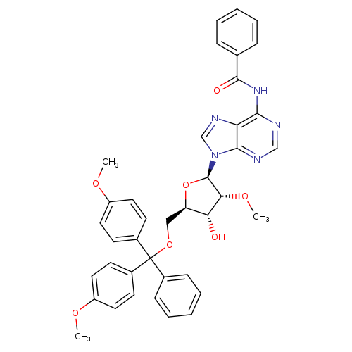 5'-DMT-2'-OMe-Bz-A
