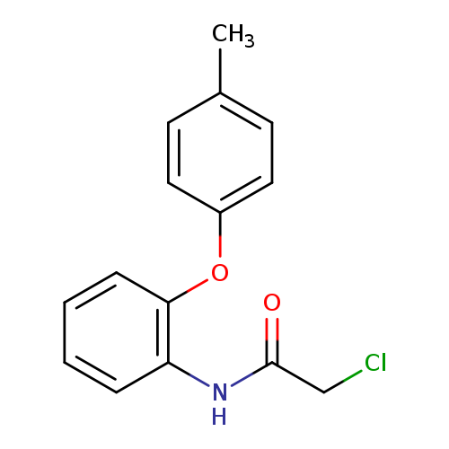 2-chloro-N-[2-(4-methylphenoxy)phenyl]acetamide