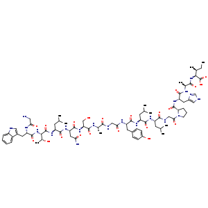 H-GLY-TRP-THR-LEU-ASN-SER-ALA-GLY-TYR-LEU-LEU-GLY-PRO-HIS-ALA-ILE-OH