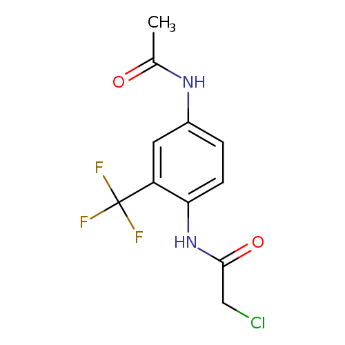 2-chloro-N-[4-acetamido-2-(trifluoromethyl)phenyl]acetamide
