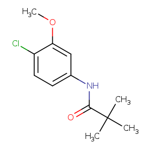 N-(4-CHLORO-3-METHOXYPHENYL)-2,2-DIMETHYL-PROPANAMIDE