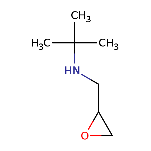 2-Oxiranemethanamine, N-(1,1-dimethylethyl)-