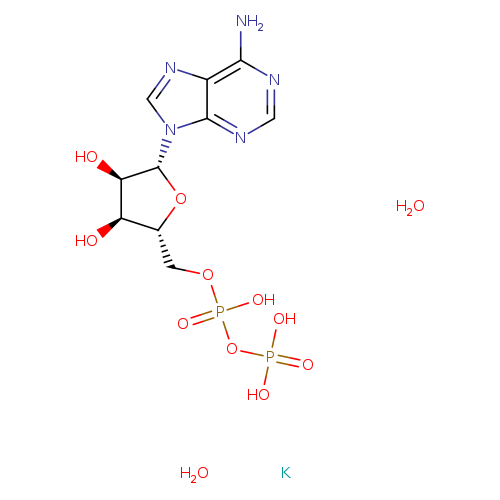 Adenosine 5'-diphosphate monopotassium salt dihydrate