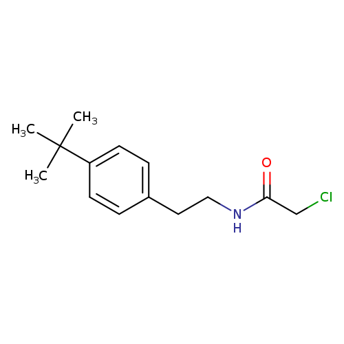 N-[2-(4-tert-butylphenyl)ethyl]-2-chloroacetamide