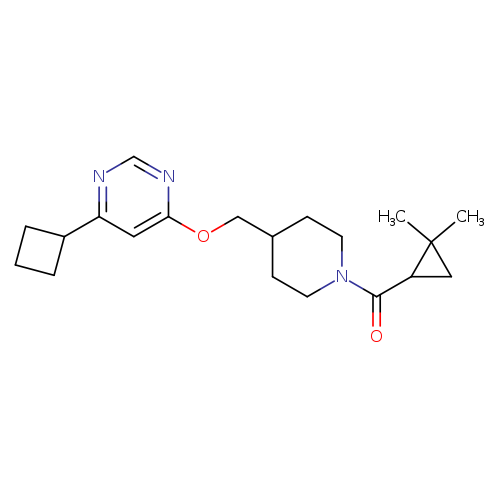 4-cyclobutyl-6-{[1-(2,2-dimethylcyclopropanecarbonyl)piperidin-4-yl]methoxy}pyrimidine