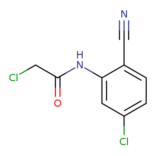 2-chloro-N-(5-chloro-2-cyanophenyl)acetamide