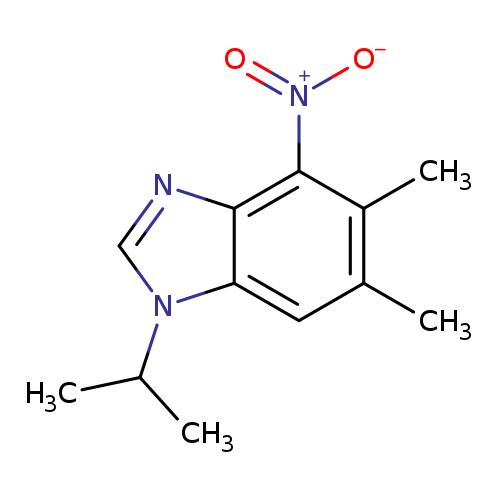 5,6-dimethyl-4-nitro-1-(propan-2-yl)-1H-1,3-benzodiazole