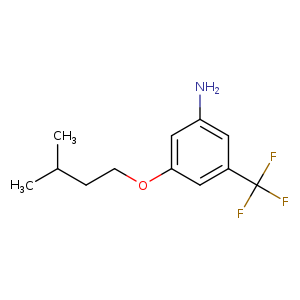 3-(3-Methylbutoxy)-5-(trifluoromethyl)aniline