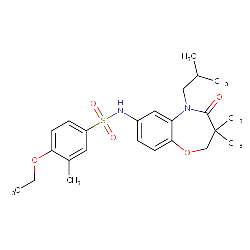 N-[3,3-dimethyl-5-(2-methylpropyl)-4-oxo-2,3,4,5-tetrahydro-1,5-benzoxazepin-7-yl]-4-ethoxy-3-methylbenzene-1-sulfonamide