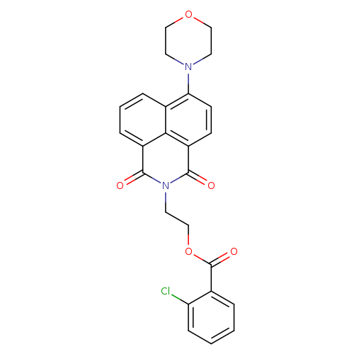 2-[8-(morpholin-4-yl)-2,4-dioxo-3-azatricyclo[7.3.1.0^{5,13}]trideca-1(13),5,7,9,11-pentaen-3-yl]ethyl 2-chlorobenzoate
