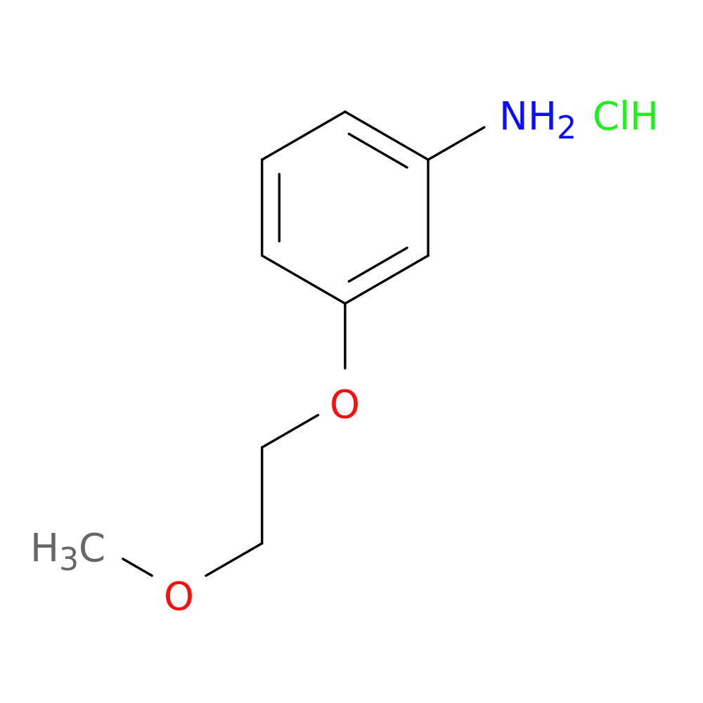 [3-(2-methoxyethoxy)phenyl]amine hydrochloride