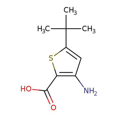 3-Amino-5-tert-butylthiophene-2-carboxylic acid