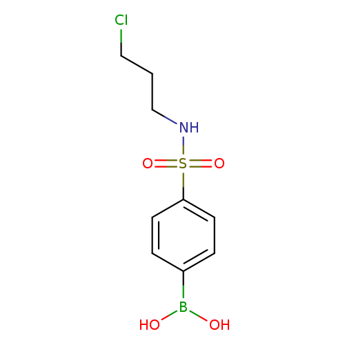 N-(3-Chloropropyl) 4-boronobenzenesulfonamide