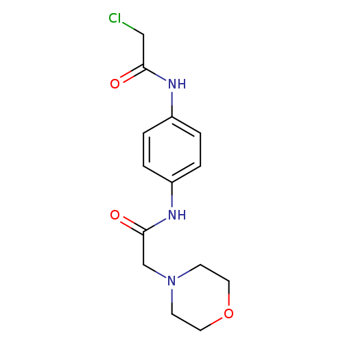 2-chloro-N-{4-[2-(morpholin-4-yl)acetamido]phenyl}acetamide