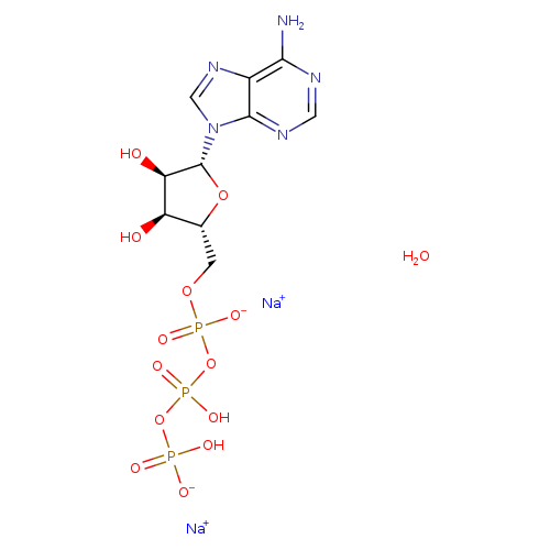 Adenosine-5'-triphosphate disodium salt hydrate