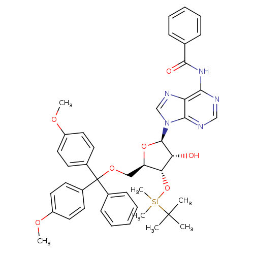 N-Benzoyl-5'-O-[bis(4-methoxyphenyl)phenylmethyl]-3'-O-[(1,1-dimethylethyl)dimethylsilyl]adenosine