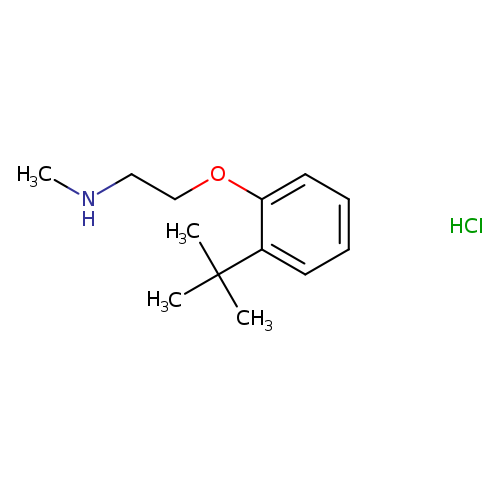 [2-(2-tert-butylphenoxy)ethyl](methyl)amine hydrochloride