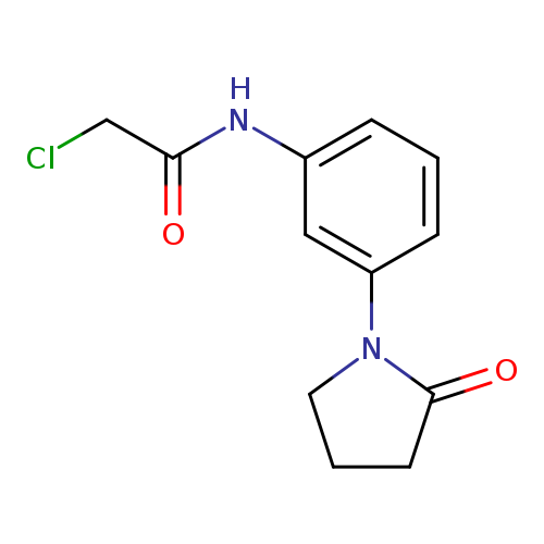 2-chloro-N-[3-(2-oxopyrrolidin-1-yl)phenyl]acetamide