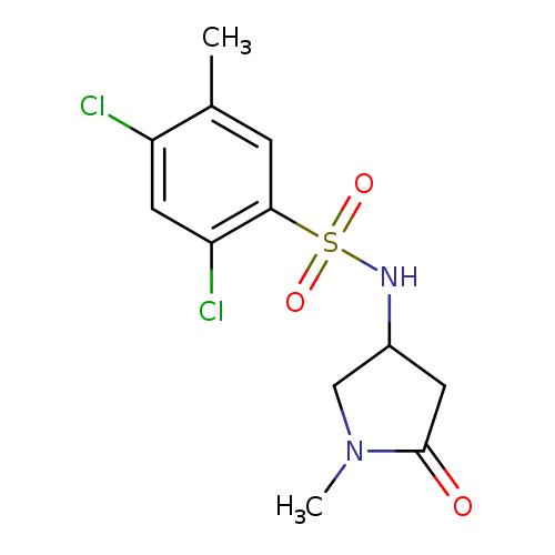2,4-dichloro-5-methyl-N-(1-methyl-5-oxopyrrolidin-3-yl)benzene-1-sulfonamide