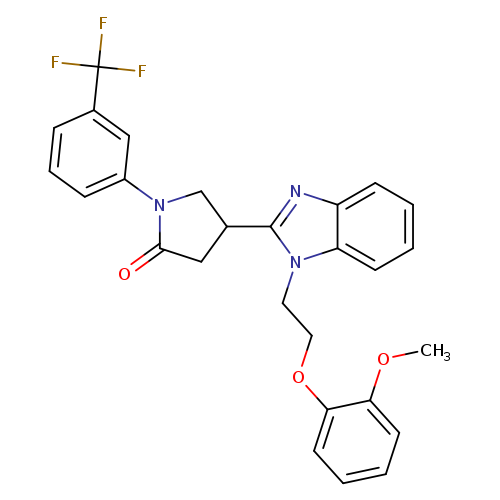 4-{1-[2-(2-methoxyphenoxy)ethyl]-1H-1,3-benzodiazol-2-yl}-1-[3-(trifluoromethyl)phenyl]pyrrolidin-2-one
