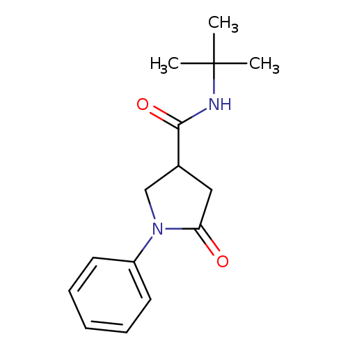 (N-tert-Butyl)-(phenyl-1-pyrrolidone-2-carboxamide-4)
