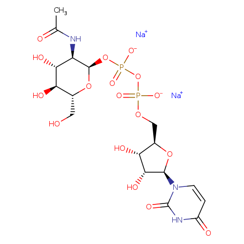 Uridine 5′-(trihydrogen diphosphate), P′-[2-(acetylamino)-2-deoxy-α-D-glucopyranosyl] ester, sodium salt (1:2)