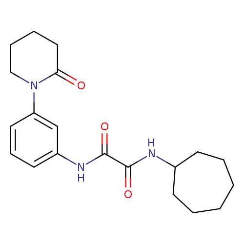 N'-cycloheptyl-N-[3-(2-oxopiperidin-1-yl)phenyl]ethanediamide