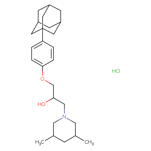 1-[4-(adamantan-1-yl)phenoxy]-3-(3,5-dimethylpiperidin-1-yl)propan-2-ol hydrochloride