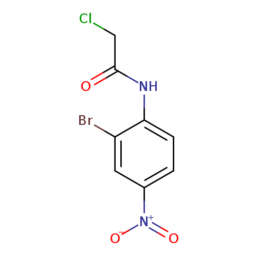 N-(2-bromo-4-nitrophenyl)-2-chloroacetamide