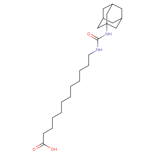 AUDA