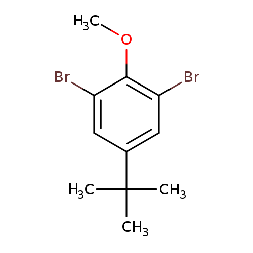 2,6-Dibromo-4-tert-butylanisole