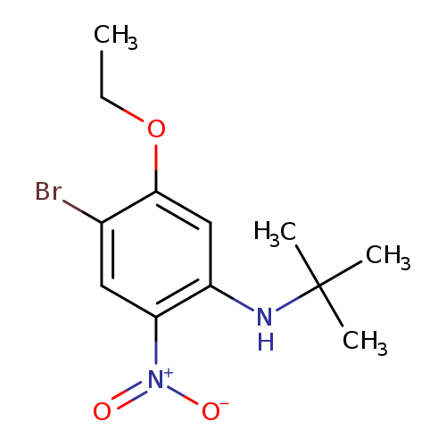 4-Bromo-N-tert-butyl-5-ethoxy-2-nitroaniline