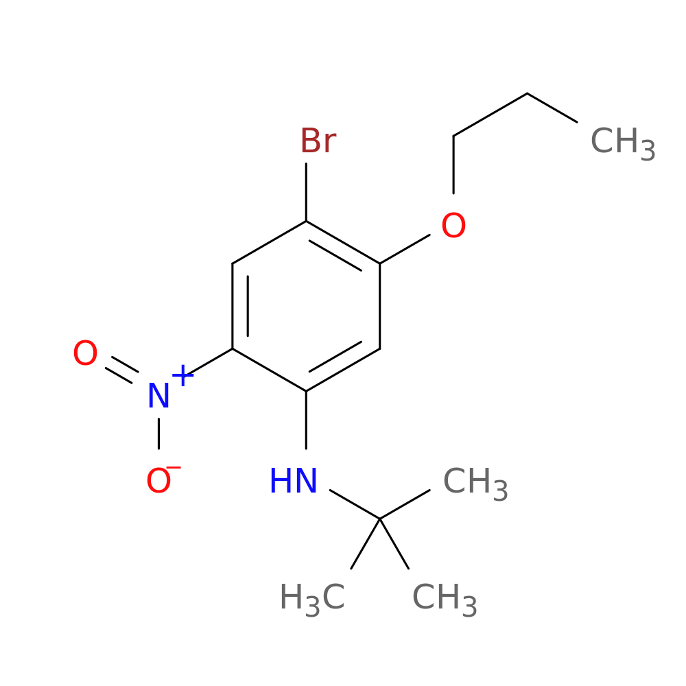 4-Bromo-N-t-butyl-2-nitro-5-propoxyaniline