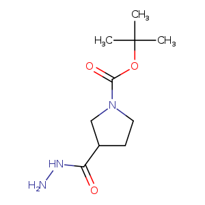 tert-Butyl 3-(hydrazinecarbonyl)pyrrolidine-1-carboxylate
